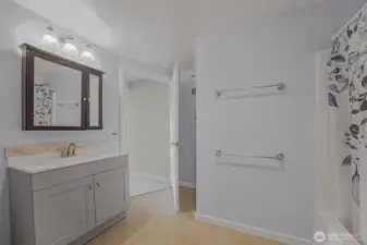 The en-suite in the suite’s bedroom.