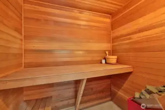 Sauna off Family room