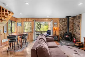 Cabin Living Room