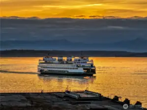 View Rooftop Terrace oriented toward Bainbridge and Bremerton ferry routes across Elliott Bay