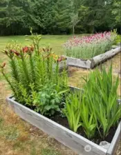 Spring/Summer Raised Garden Beds