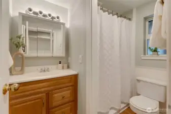 Guest bath, lower level