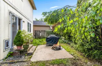 Fully fenced back yard
