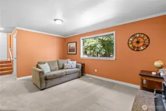 Downstairs Family room wood burning fireplace insert