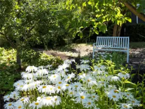 Hard to believe this lovely, shady spot is in the front yard. A great spot to chill out and absorb nature at its best.