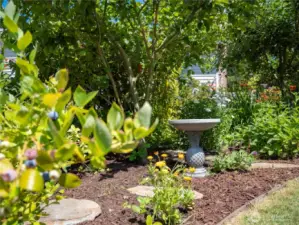 More front yard views . . .