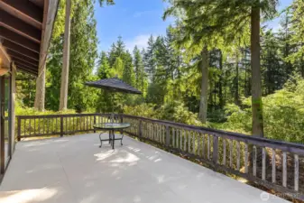 Fantastic deck!