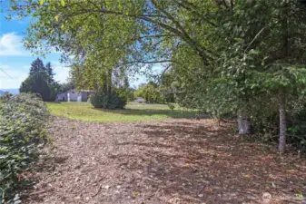 Large cleared property