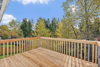 Back Deck off the Kitchen