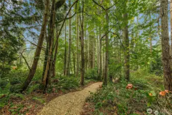 Forest on all sides with plenty of space for an ideal homesite
