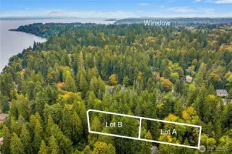 Ferry and Winslow access directly down Ferncliff Ave