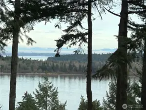 View from inside the home...