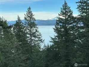 View from inside the home...