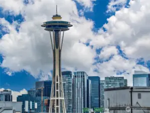 Excellent view of the Space Needle from the common roof-top deck!