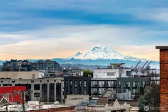 View of Mt Rainier from the roof top deck.