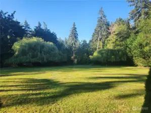 Front yard towards pasture