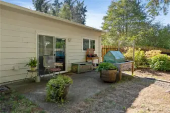 Back patio. There are gates to the back yard on each side of the house.