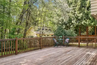 Ipe wood deck spans the whole length of the home