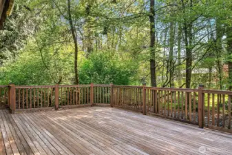 Ipe wood deck