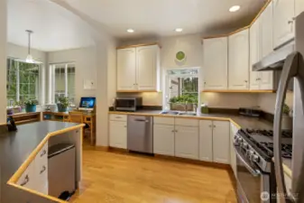 Open light kitchen