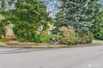 Front yard