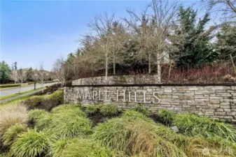 Maple Hills Community