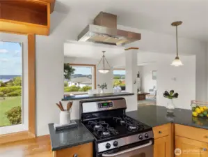Gas Stove