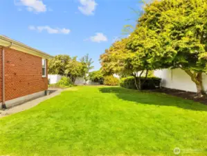 Large back lawn area with tons of landscaping