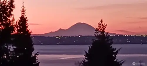 Gorgeous view of Mount Rainier