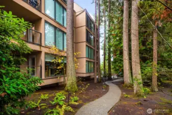 Inviting pathway through wooded landscaping leading toward the condominium entrance.
