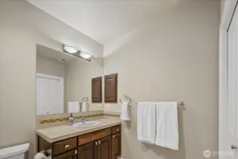 Lower level full bath