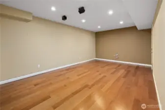 Lower Level Family/Media Room