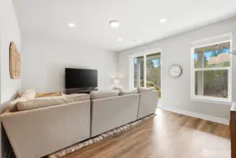 basement level living room area, lower level covered patio is off this lower level