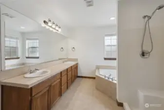 Primary bath with lots of counter space, and TONS of natural light!