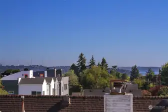 Southward view of the Space Needle from roof deck.