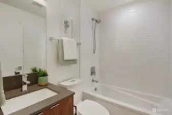 Lower level full bathroom.