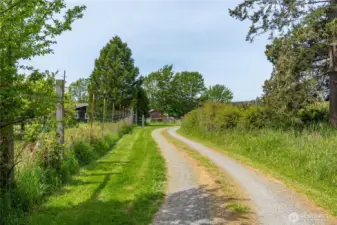 your own coutnry lane