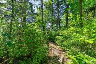Multiple trails on the property