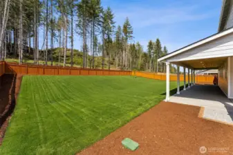 Not Actual Yard  Similar size 17,195sqft.