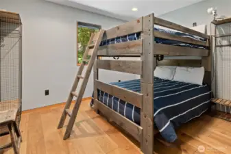 Bedroom two...the bunk room.