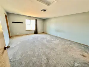 Large Primary Bedroom with walk-in closet and private bath.