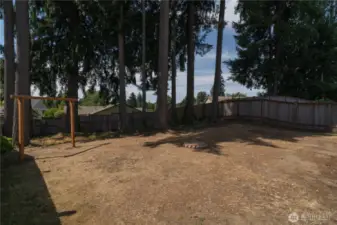 Back yard