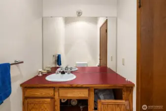 bathroom lower level