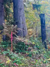 Easement starts here from Valley Ridge to property.