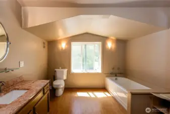 Primary bath off bedroom.