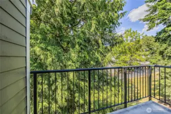 View from Balcony