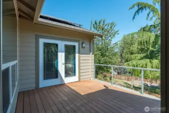 Primary French Doors
