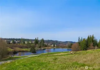 Privet Neighborhood Pond