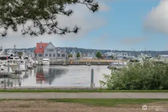 Marina within Walking Distance