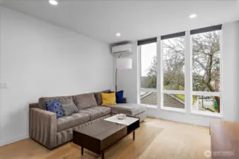 Large light-filled living room